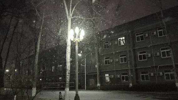 学校里的雪花